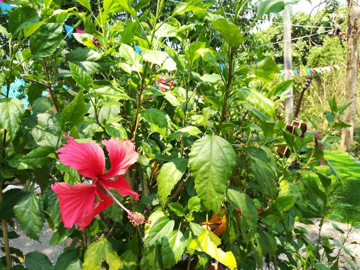 Вилла Star View Garden Сайок Экстерьер фото